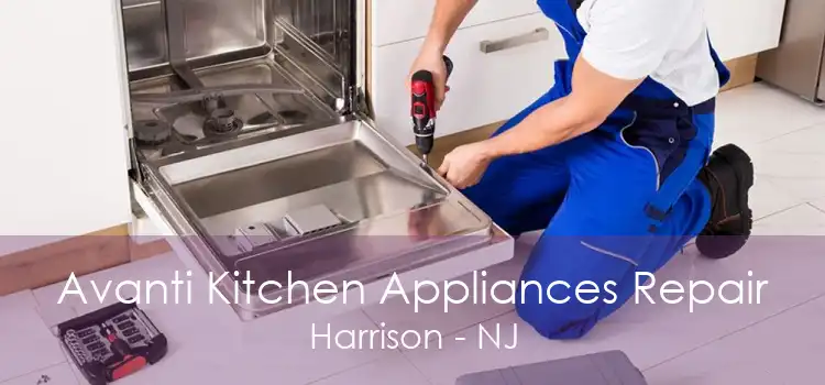 Avanti Kitchen Appliances Repair Harrison - NJ