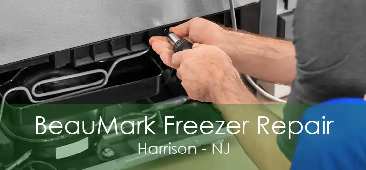 BeauMark Freezer Repair Harrison - NJ