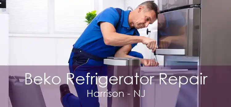Beko Refrigerator Repair Harrison - NJ