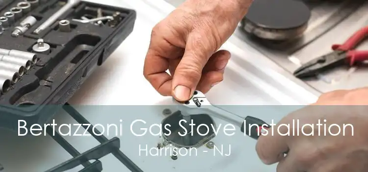 Bertazzoni Gas Stove Installation Harrison - NJ