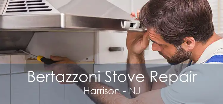 Bertazzoni Stove Repair Harrison - NJ
