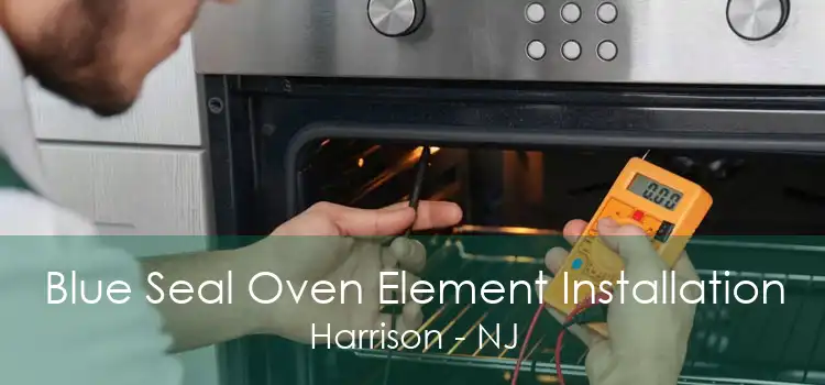 Blue Seal Oven Element Installation Harrison - NJ
