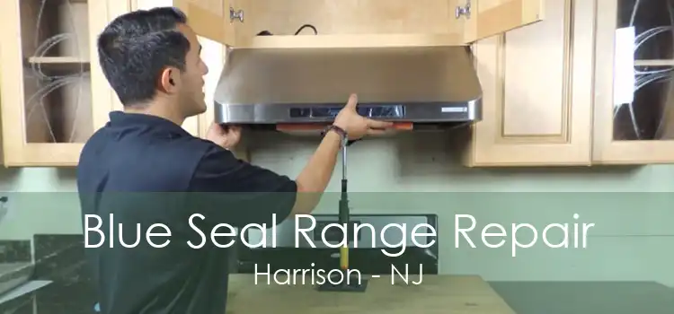 Blue Seal Range Repair Harrison - NJ