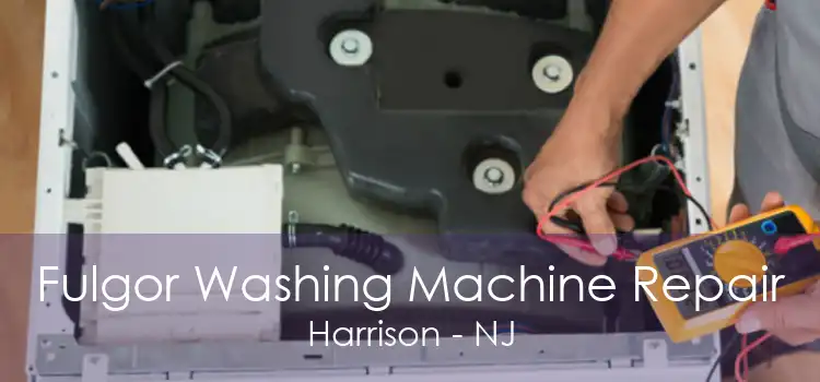 Fulgor Washing Machine Repair Harrison - NJ