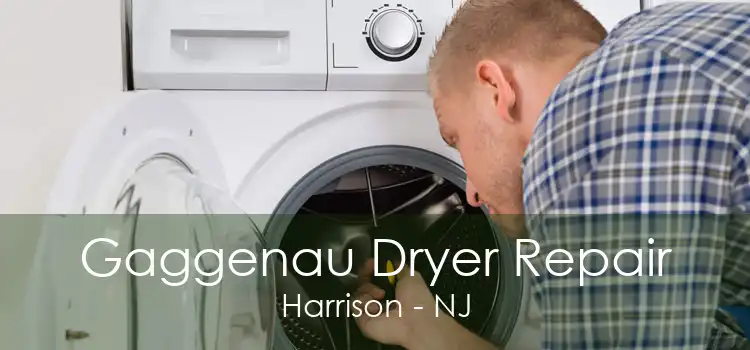 Gaggenau Dryer Repair Harrison - NJ