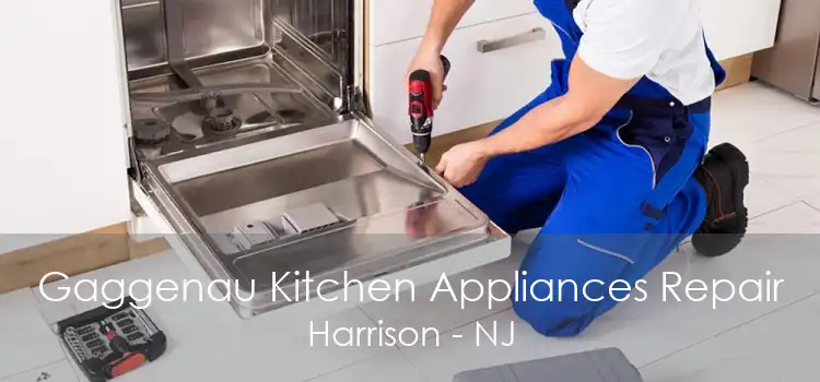 Gaggenau Kitchen Appliances Repair Harrison - NJ