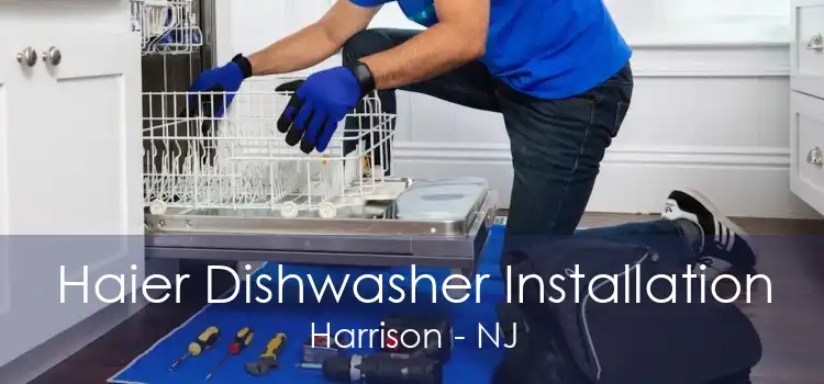 Haier Dishwasher Installation Harrison - NJ