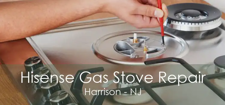 Hisense Gas Stove Repair Harrison - NJ