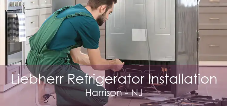 Liebherr Refrigerator Installation Harrison - NJ