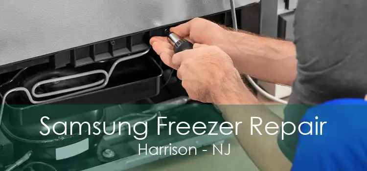 Samsung Freezer Repair Harrison - NJ