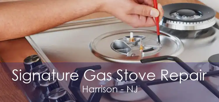 Signature Gas Stove Repair Harrison - NJ