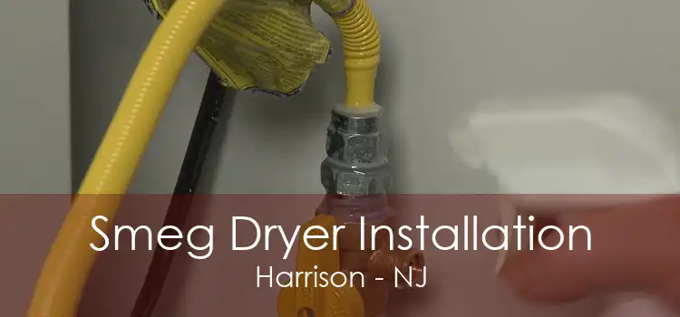 Smeg Dryer Installation Harrison - NJ