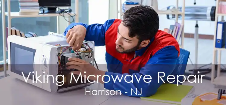 Viking Microwave Repair Harrison - NJ