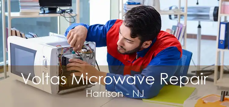 Voltas Microwave Repair Harrison - NJ