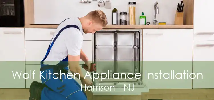 Wolf Kitchen Appliance Installation Harrison - NJ