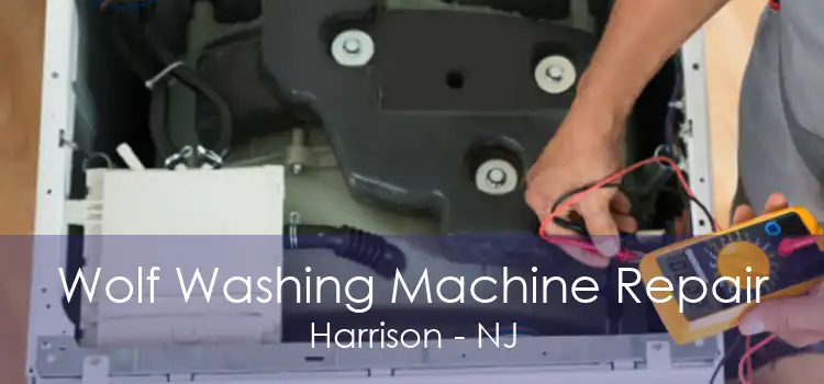 Wolf Washing Machine Repair Harrison - NJ